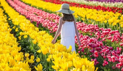 Du lịch mùa nào đẹp nhất ở Úc? Lịch trình lý tưởng theo từng mùa trong...